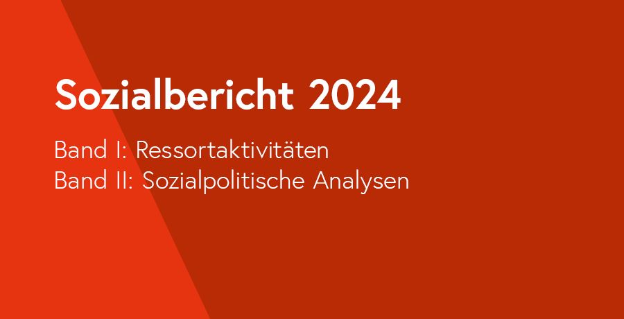 Sozialbericht 2024 - Band I: Ressortaktivitäten; Band II: Sozialpolitische Analysen