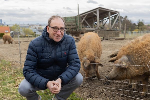 HBM Johannes Rauch mit Schweinen am Freiland Biohof N°5