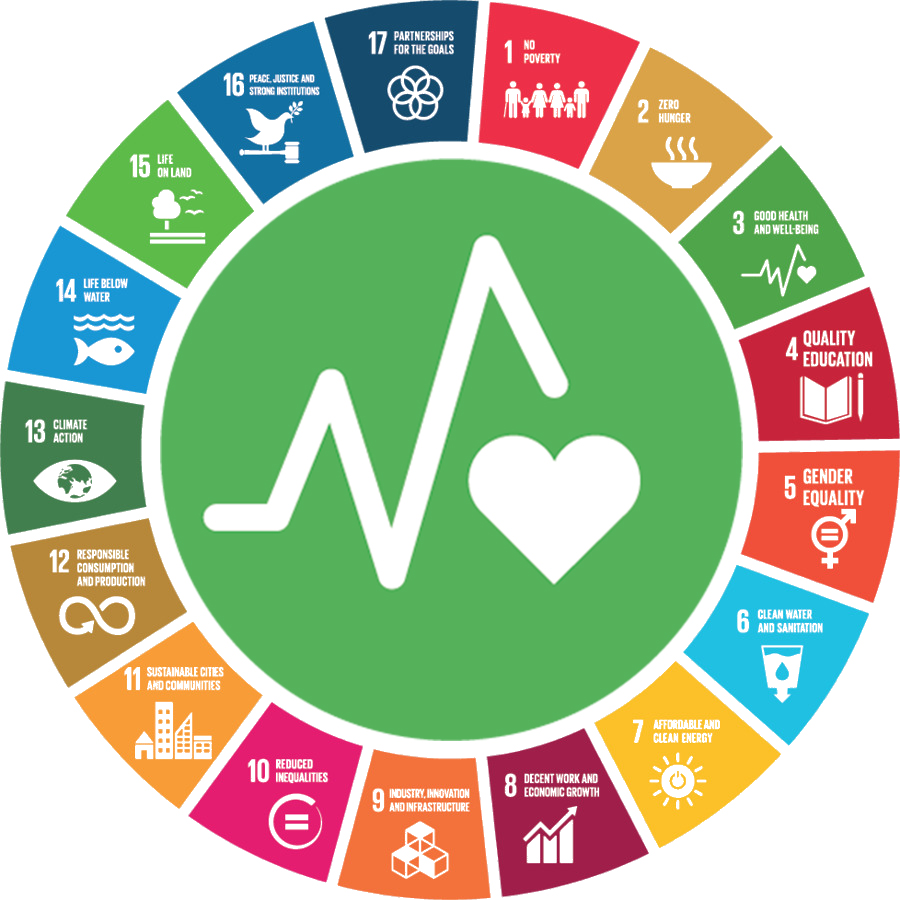 Infografik zu den SDGs